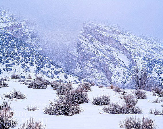 Snow storm at Josies