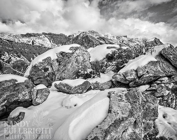 Lichen and Snow