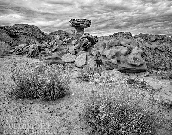 The Mushroom Rock