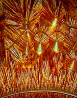 Fire agate 9