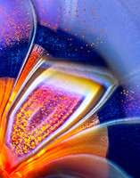 Condor agate 14