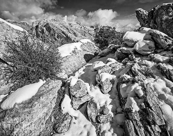 In a rocky draw