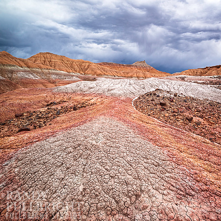 The Uinta clay's