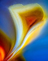 Condor agate 19