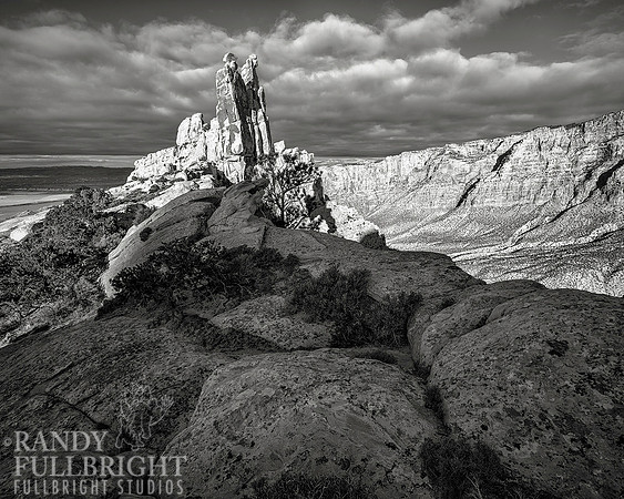 The Watchers