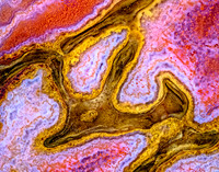 Pink and yellow Dinosaur Bone 2