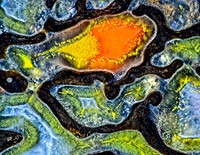 Orange and green Dinosaur Bone