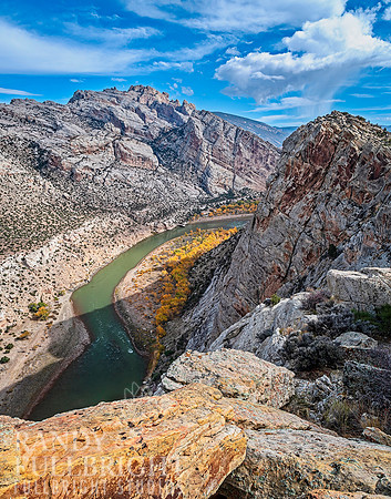 Fall color along the Green river 5